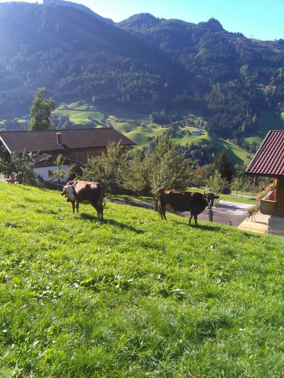 Stockhof Lejlighed Zell am Ziller Eksteriør billede
